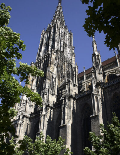 Südansicht des Ulmer Münsters im Sommer