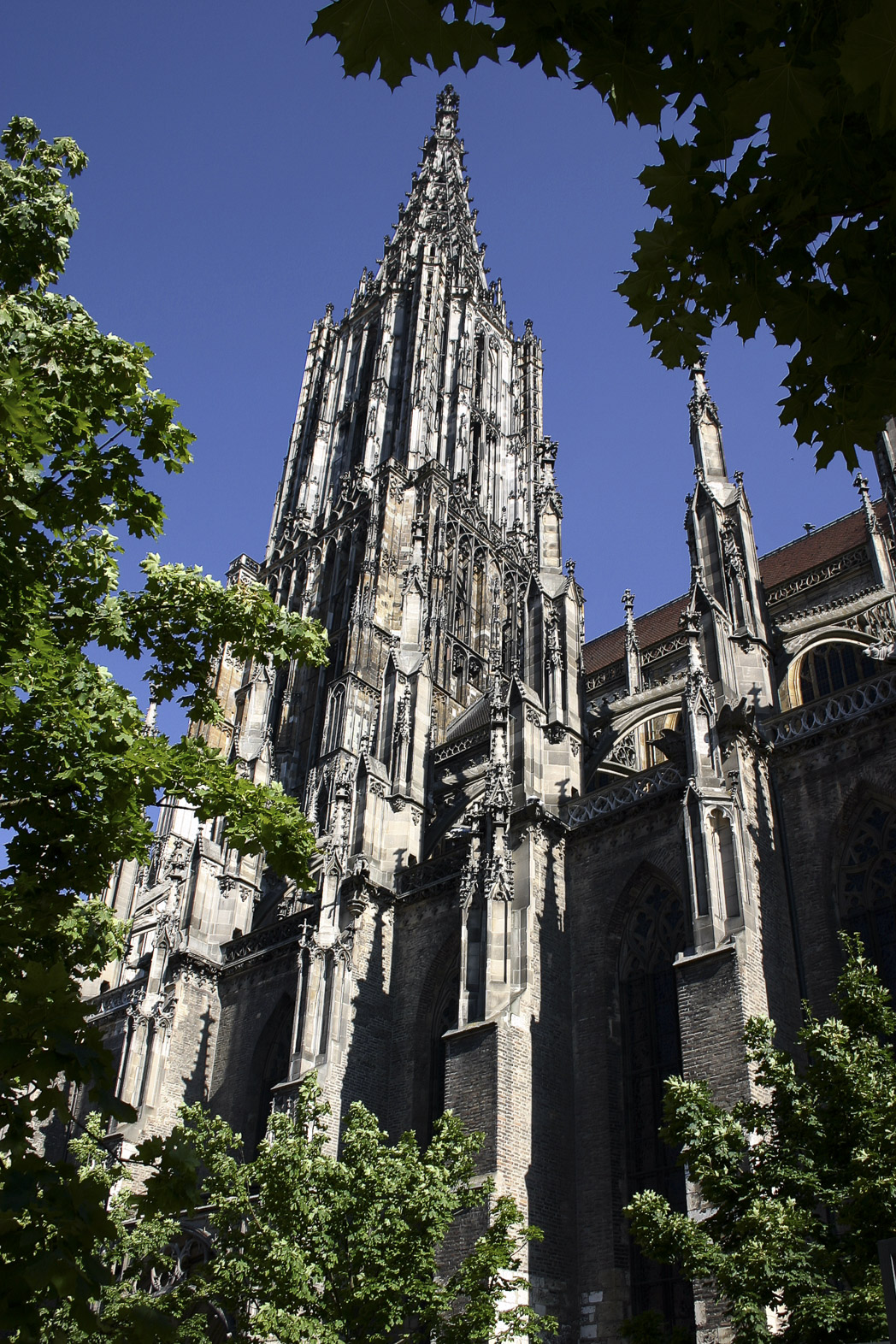 S&uuml;dansicht Ulmer M&uuml;nsters