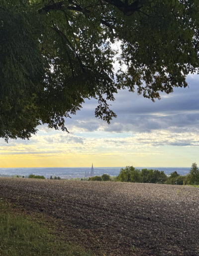 Panorama Ulm vom Oberberghof nach der Ernte