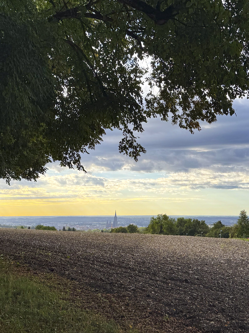 Panorama vom Oberberghof